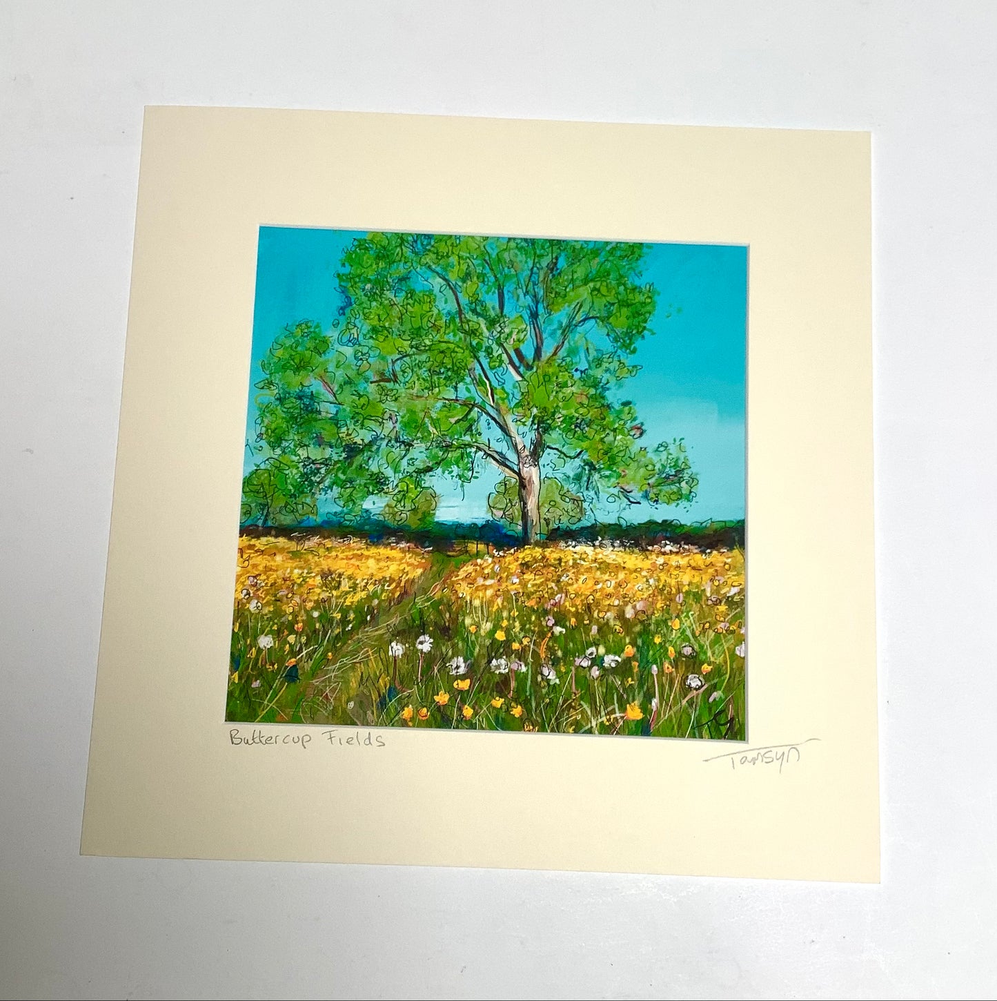 Buttercup Fields