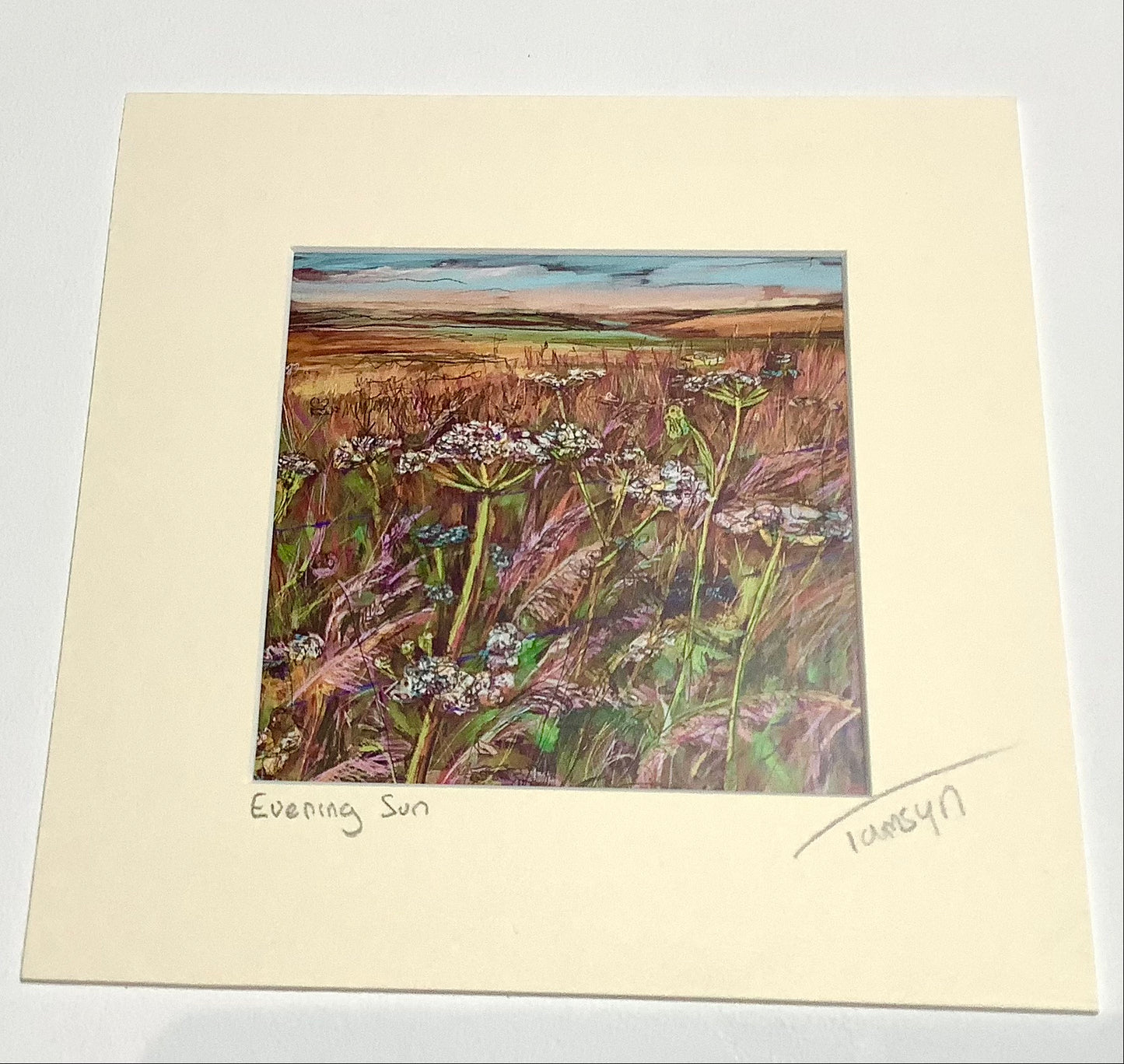 Evening Sun White Sheet Hill