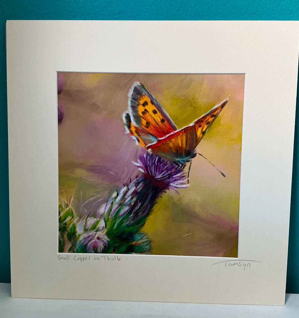Small Copper Butterfly