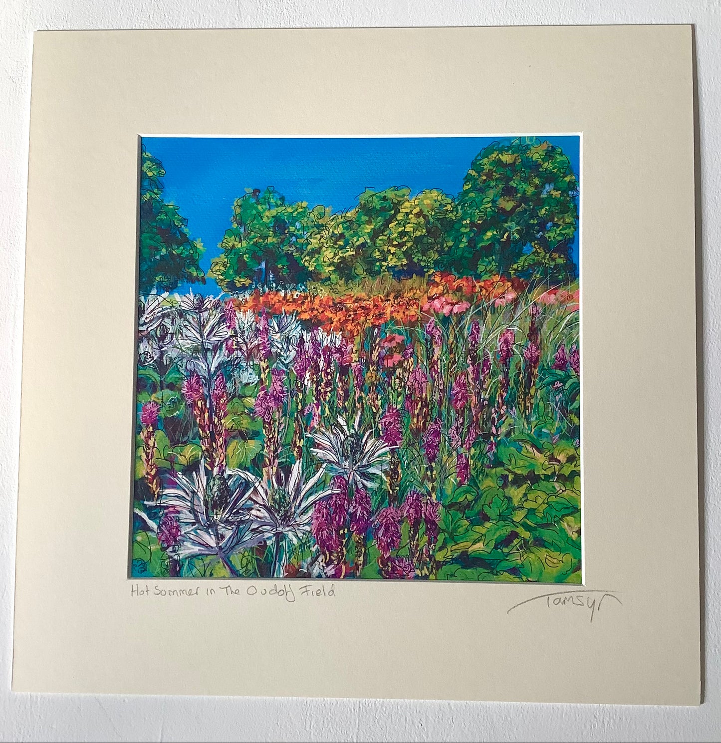 Hot Summer in The Oudolf Garden