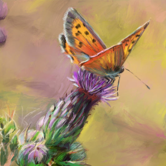Small Copper Butterfly