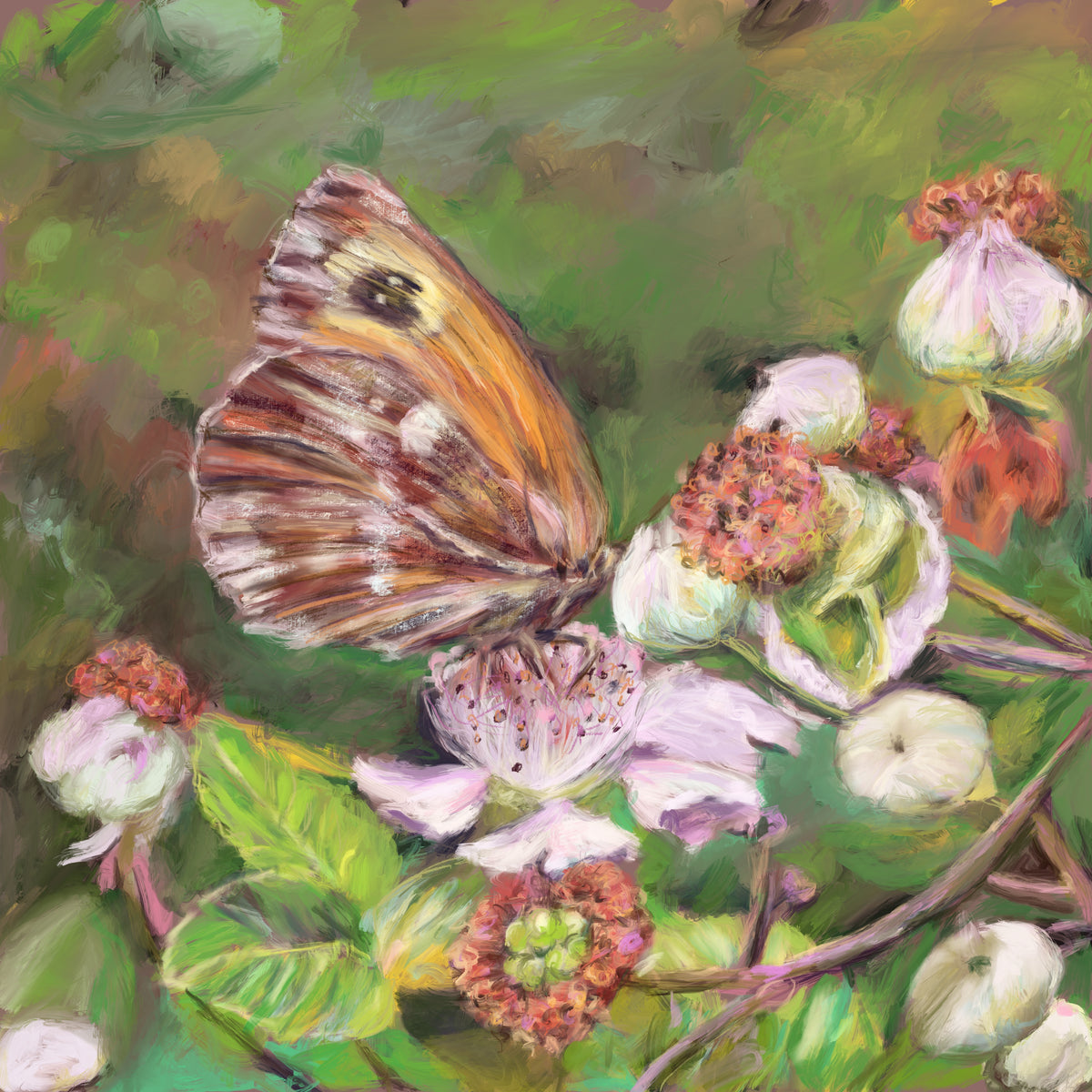 Gatekeeper Butterfly