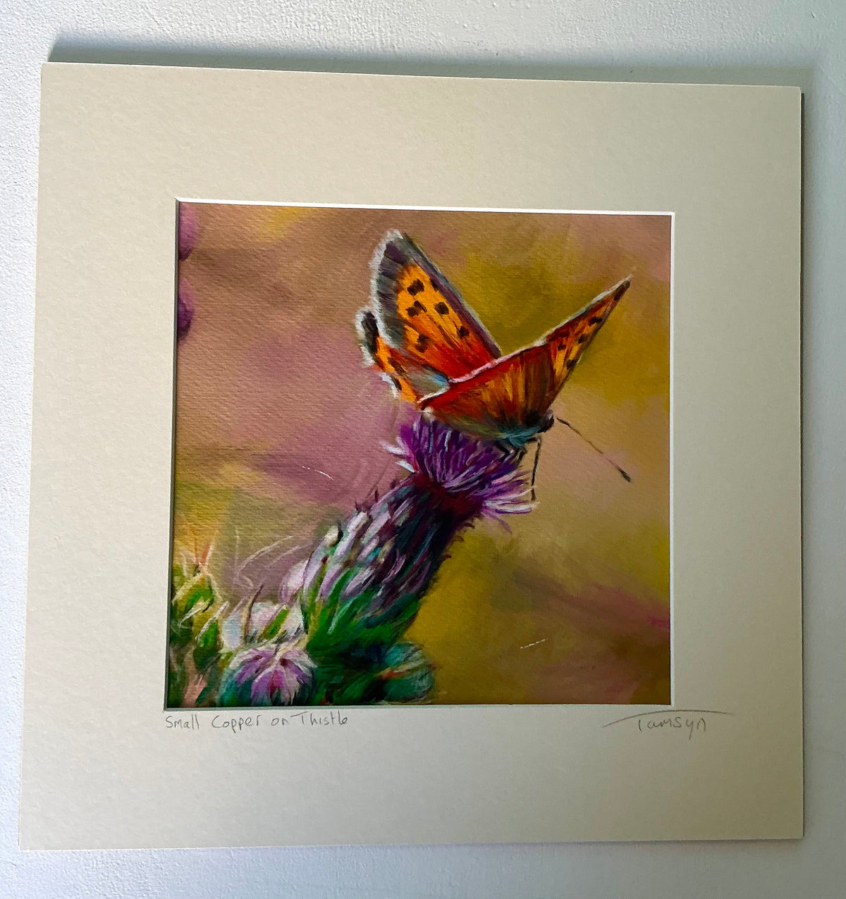 Small Copper Butterfly