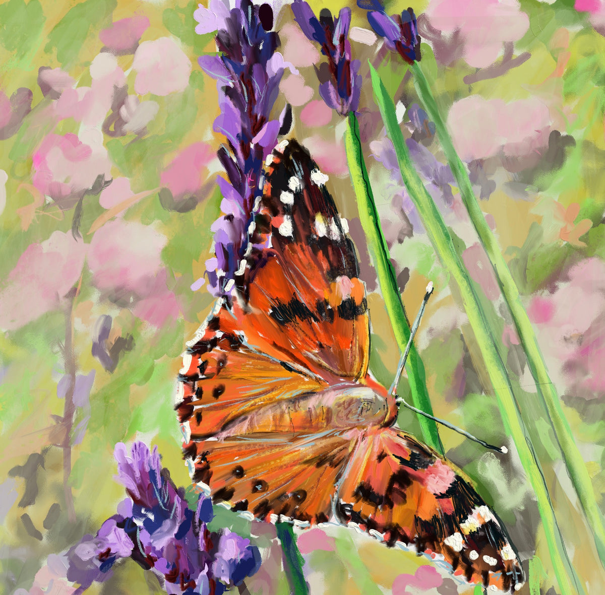 Painted Lady Butterfly on Lavender