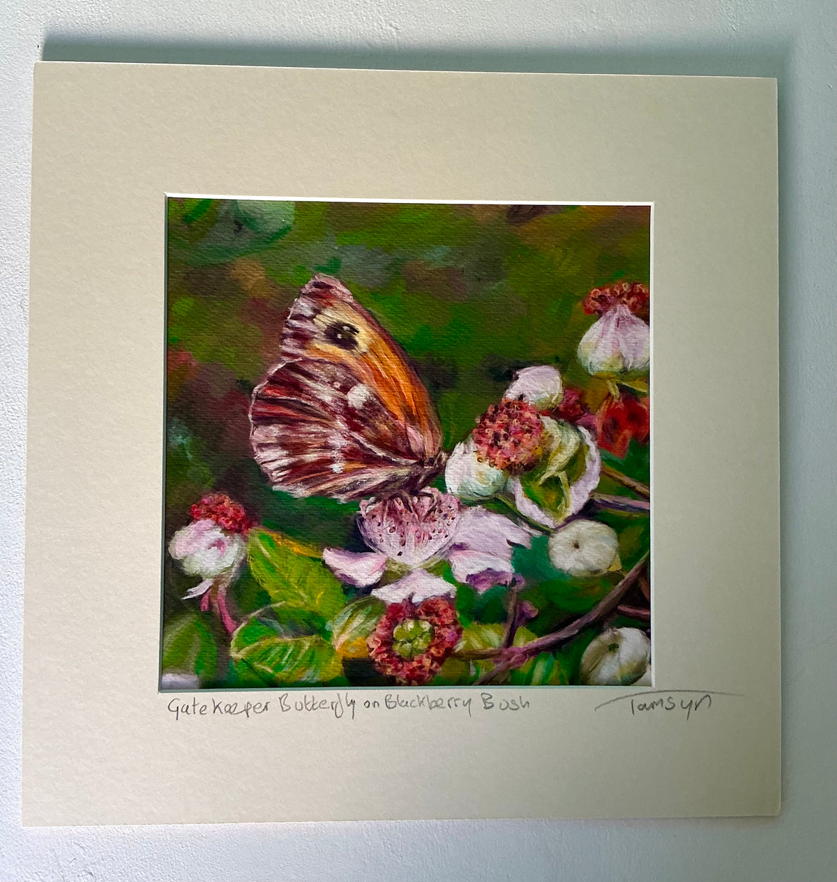 Gatekeeper Butterfly