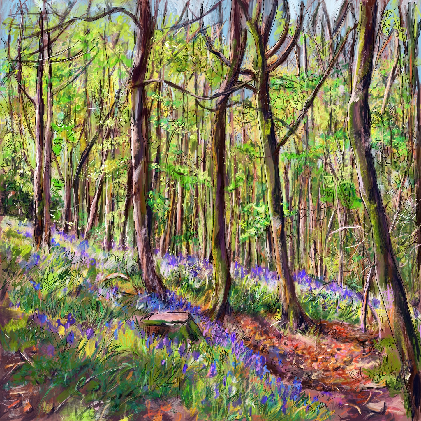 Bluebell Woods