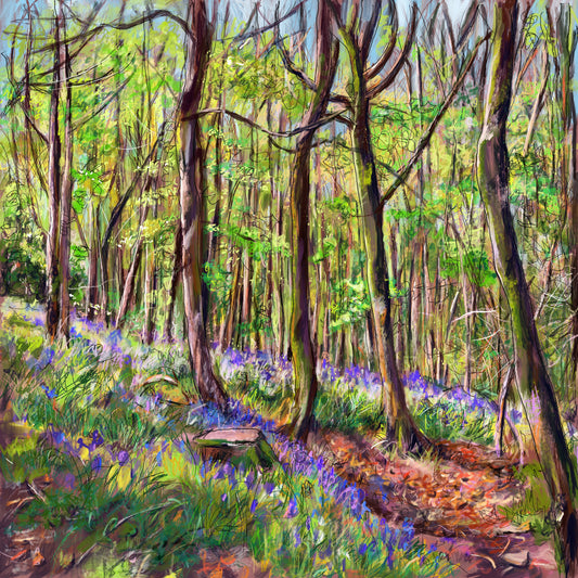 Bluebell Woods