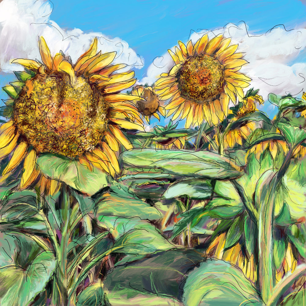 Sunflower Field Art Card