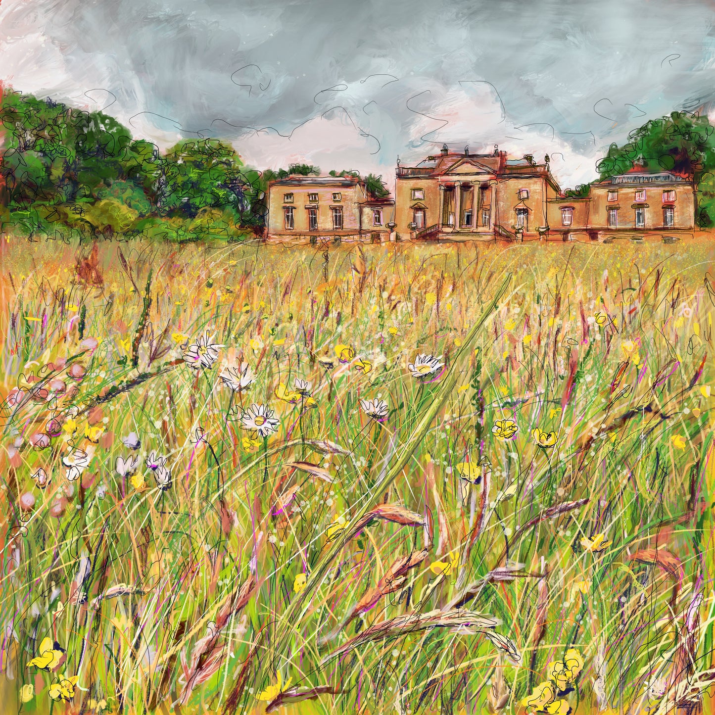 Wild Meadow Stourhead