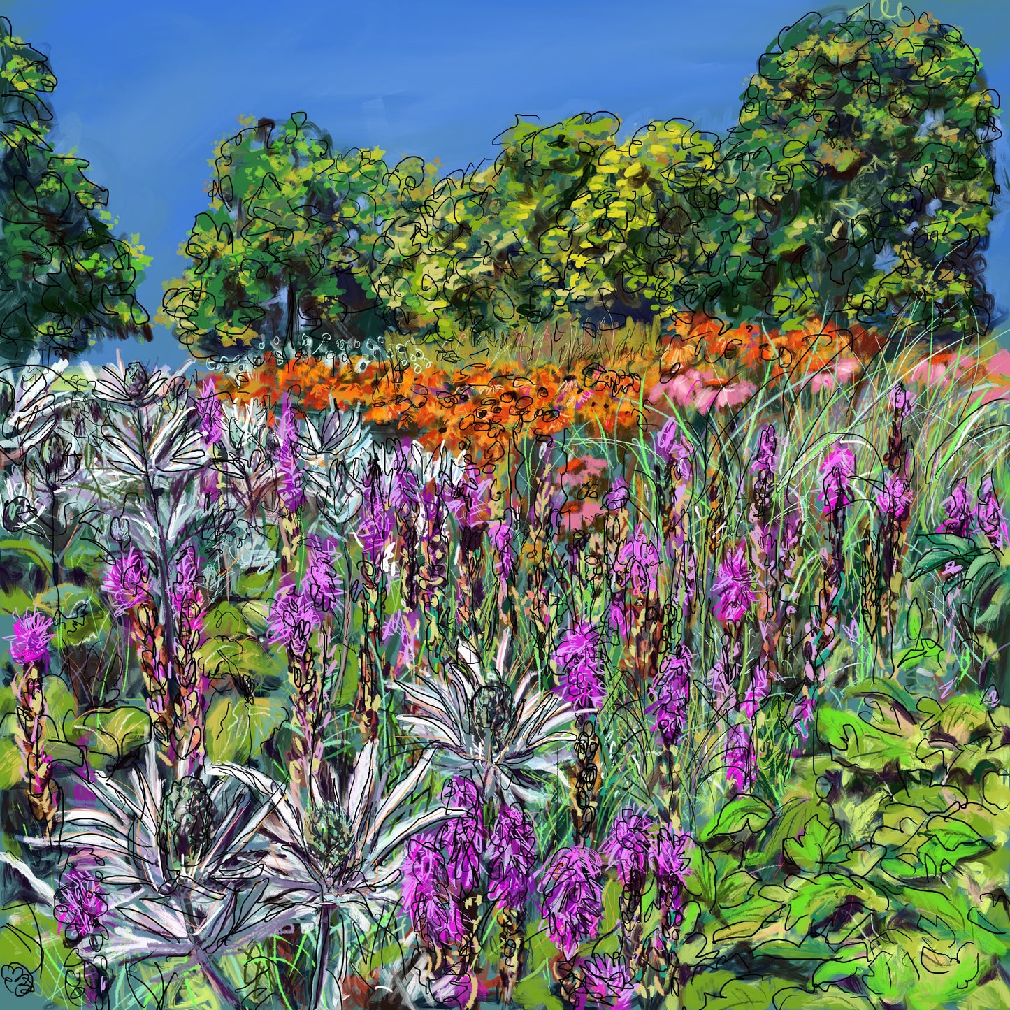 Hot Summer in The Oudolf Garden
