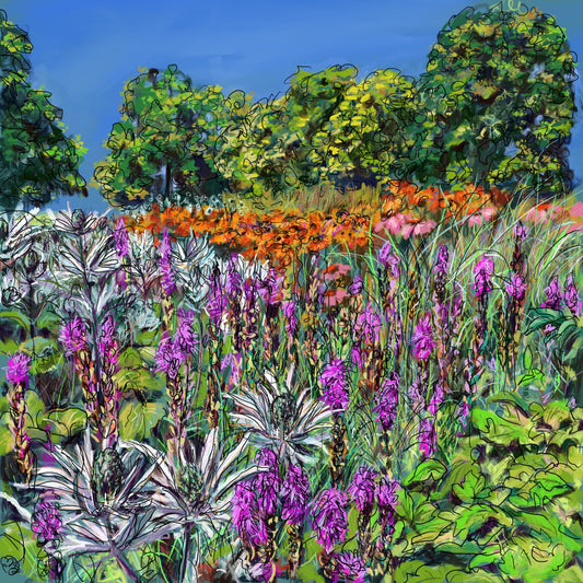 Hot Summer in The Oudolf Garden