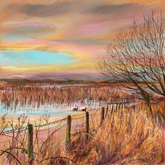 Watching The Birds at Sunset Art Card